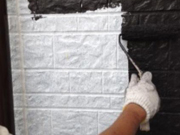 シリコン塗料　バイオ洗浄 外壁・屋根リフォーム施工事例