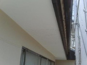 20130117_240_01.jpg